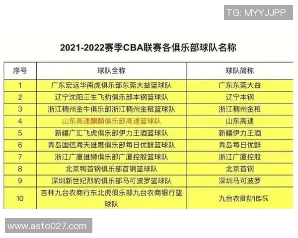 深圳篮球队个人能力排名创新高引发热议球员表现备受关注