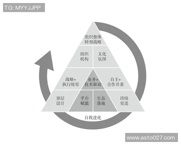 成都排球队灵活性深度对比分析及其战术影响探讨 成都排球队灵活性深度对比分析及其战术影响探讨