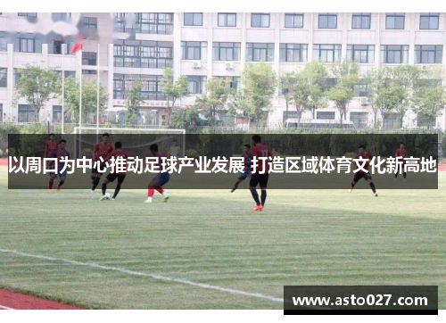 以周口为中心推动足球产业发展 打造区域体育文化新高地