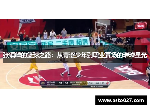 张镇麟的篮球之路：从青涩少年到职业赛场的璀璨星光